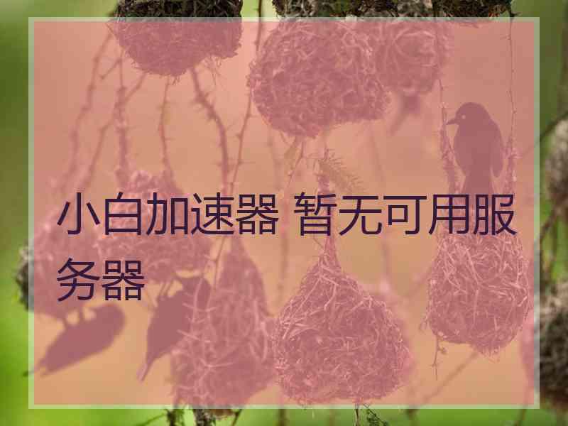 小白加速器 暂无可用服务器