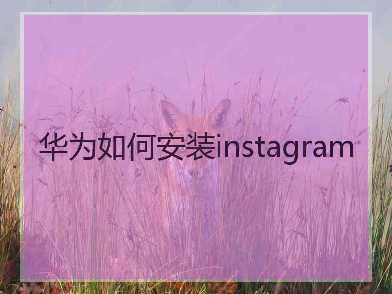 华为如何安装instagram