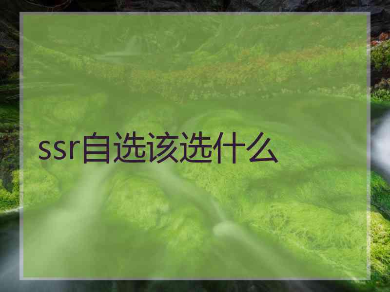 ssr自选该选什么