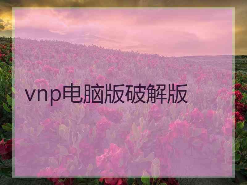 vnp电脑版破解版