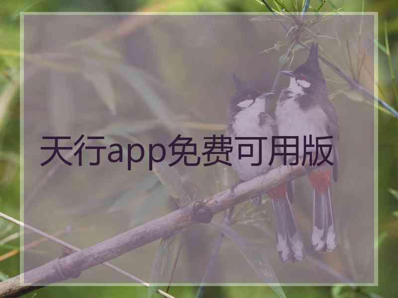 天行app免费可用版