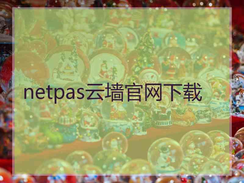 netpas云墙官网下载