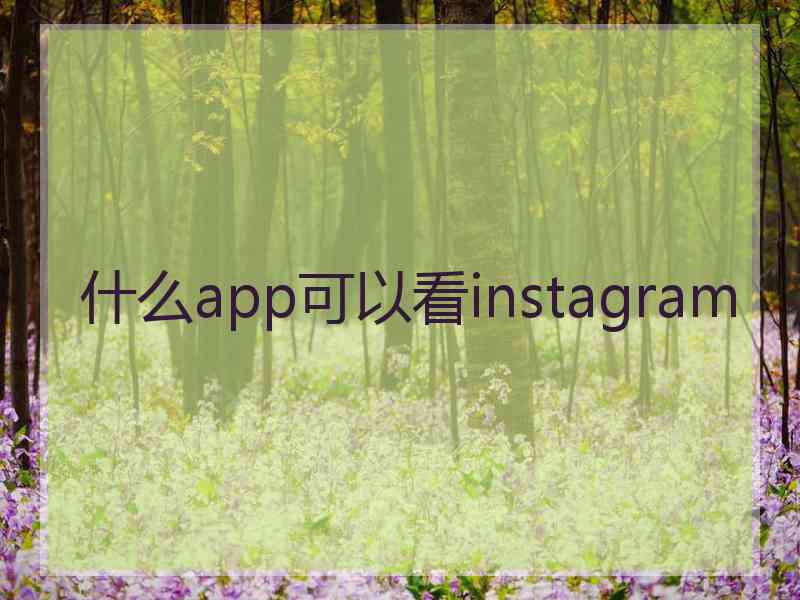 什么app可以看instagram