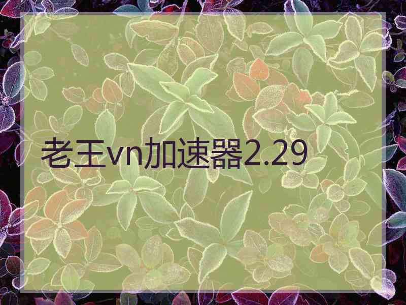 老王vn加速器2.29