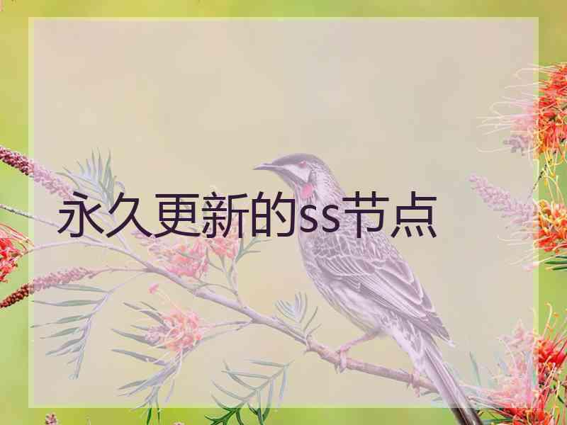 永久更新的ss节点