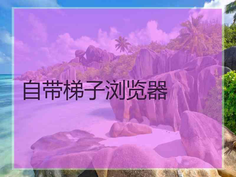 自带梯子浏览器