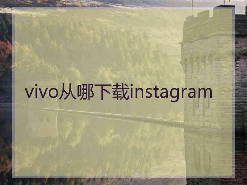 vivo从哪下载instagram