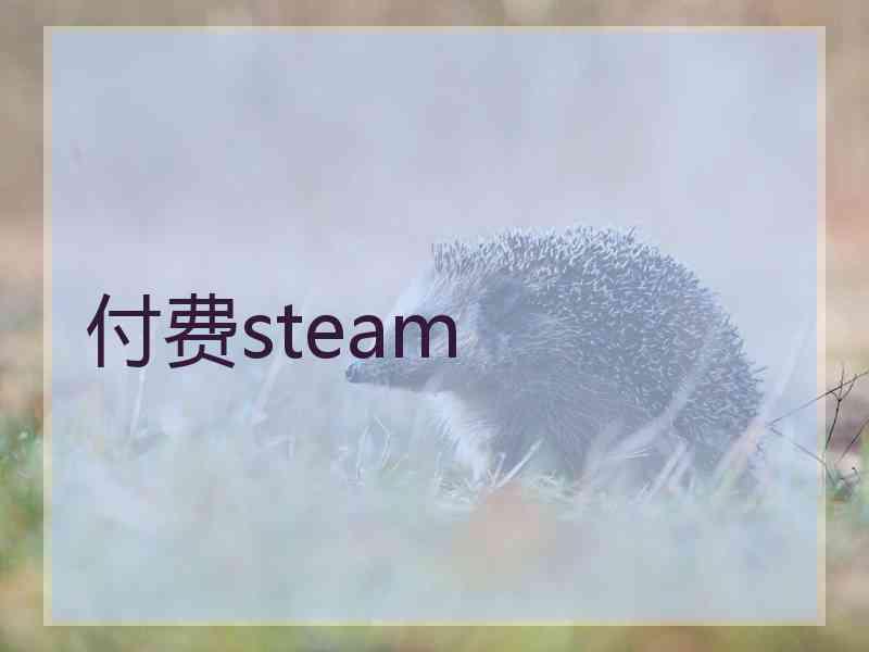 付费steam