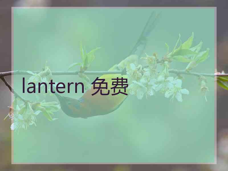 lantern 免费