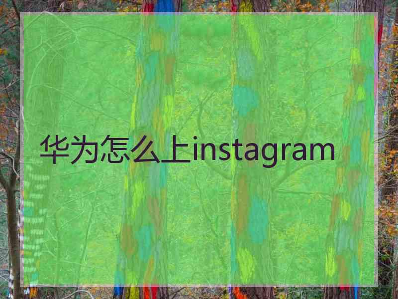 华为怎么上instagram