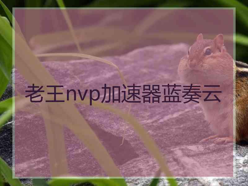 老王nvp加速器蓝奏云