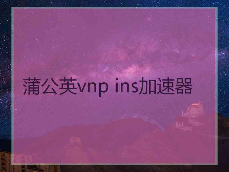 蒲公英vnp ins加速器