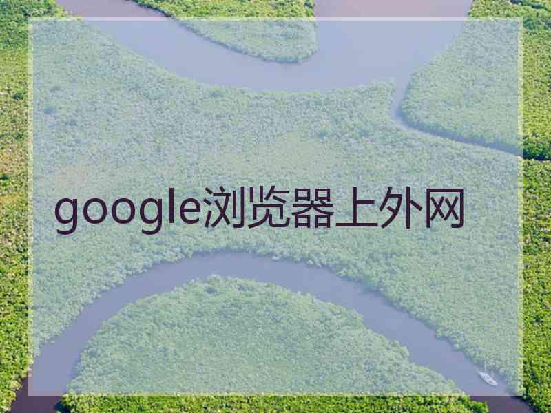 google浏览器上外网