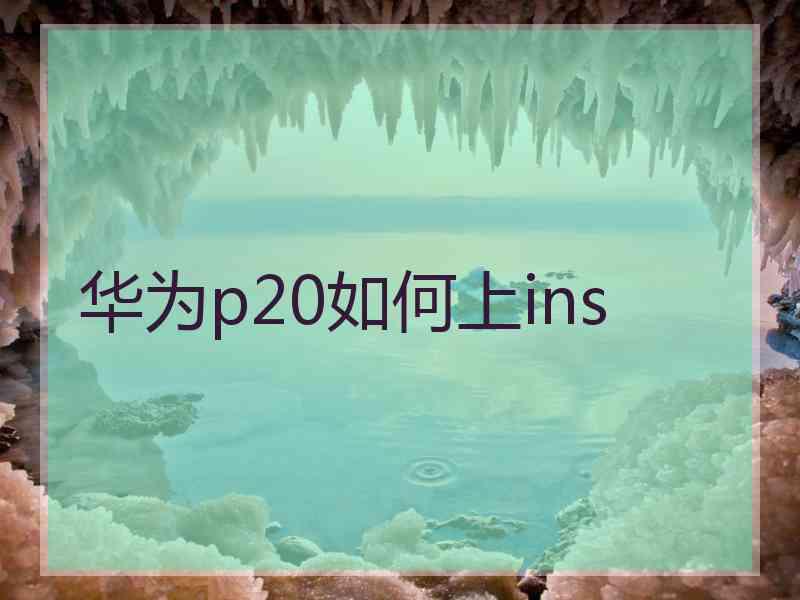 华为p20如何上ins