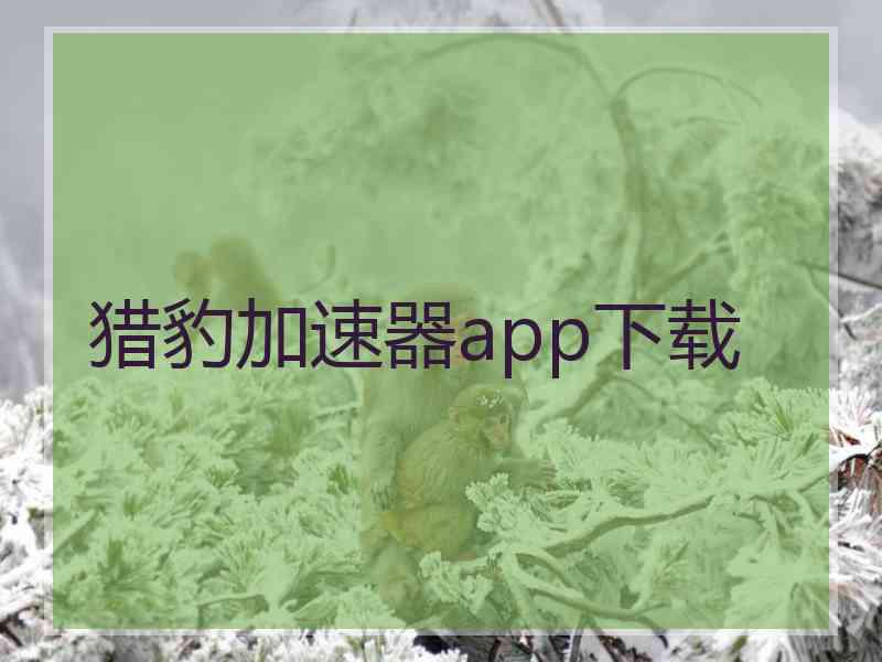 猎豹加速器app下载