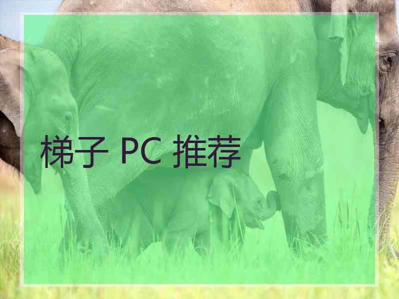 梯子 PC 推荐