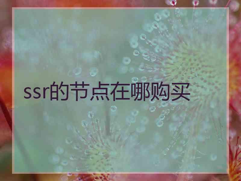 ssr的节点在哪购买