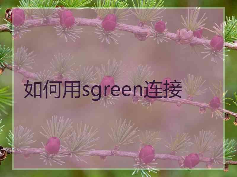 如何用sgreen连接