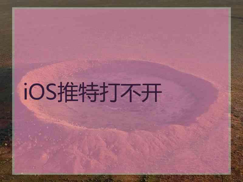 iOS推特打不开