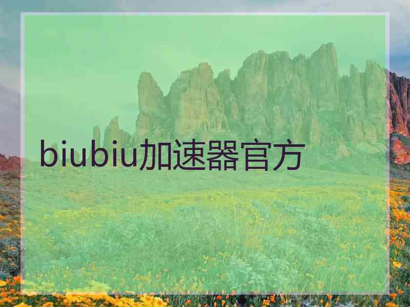 biubiu加速器官方