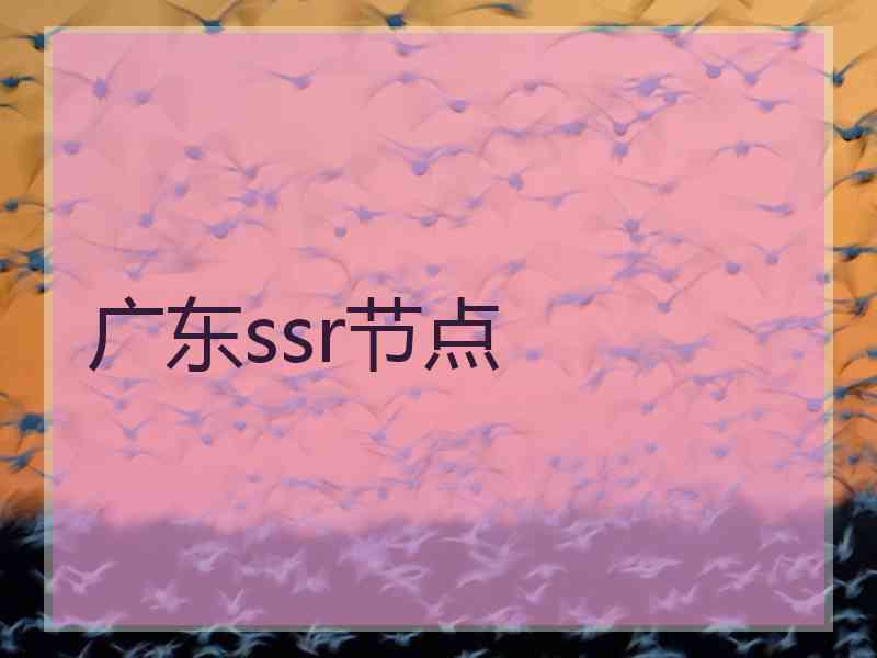 广东ssr节点