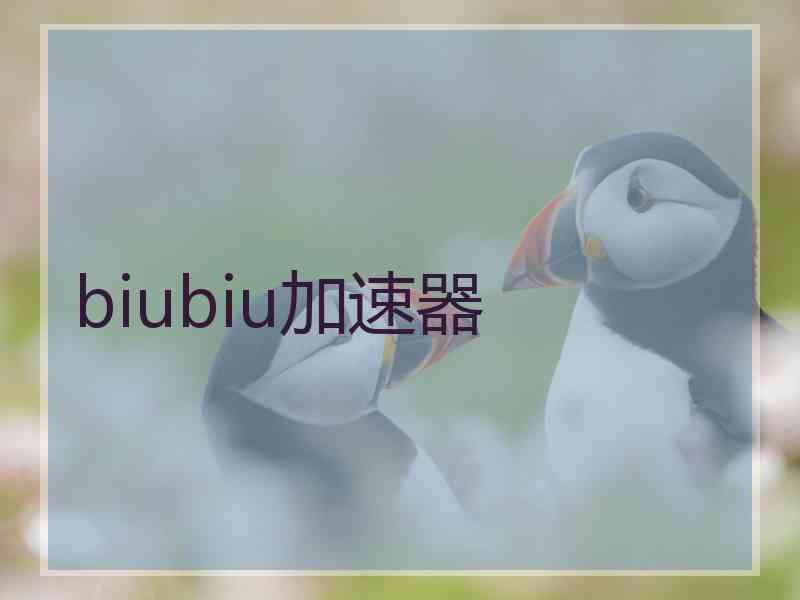 biubiu加速器