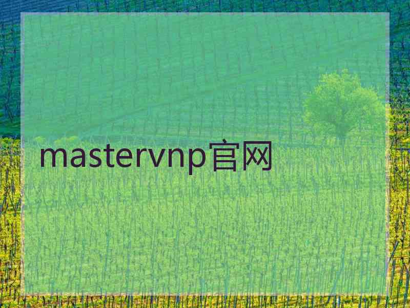 mastervnp官网