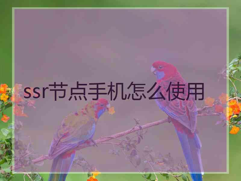 ssr节点手机怎么使用