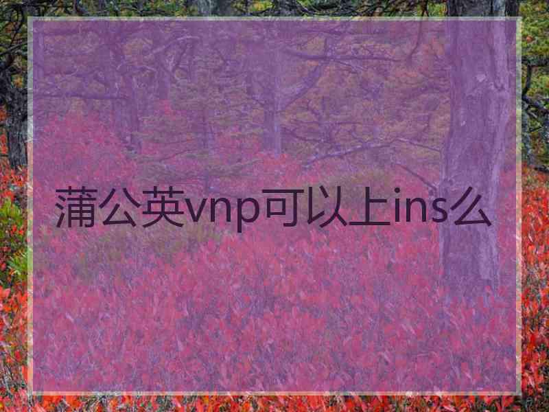 蒲公英vnp可以上ins么