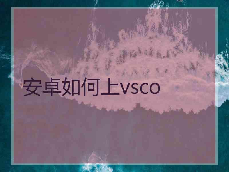 安卓如何上vsco