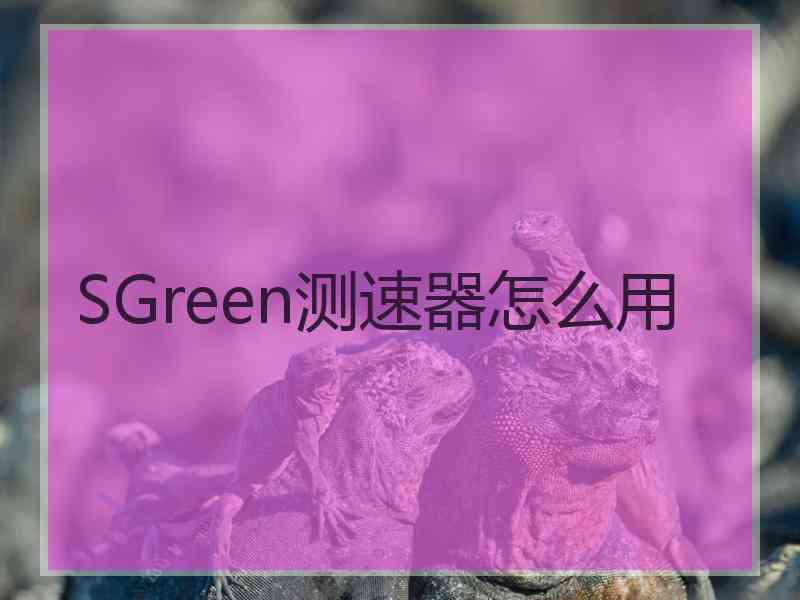 SGreen测速器怎么用