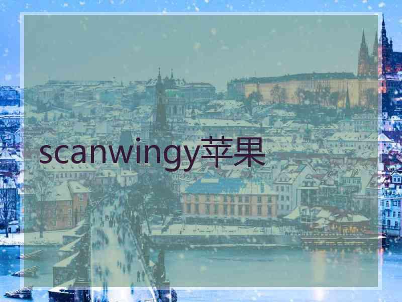 scanwingy苹果