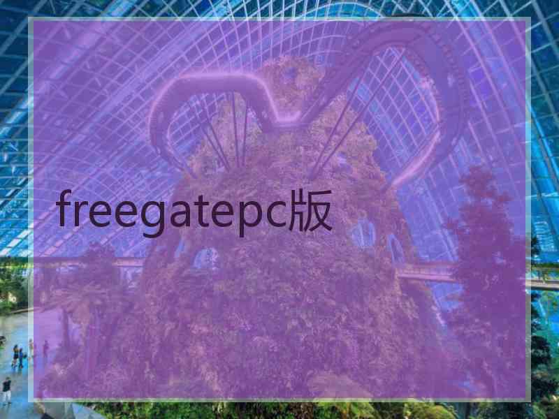 freegatepc版