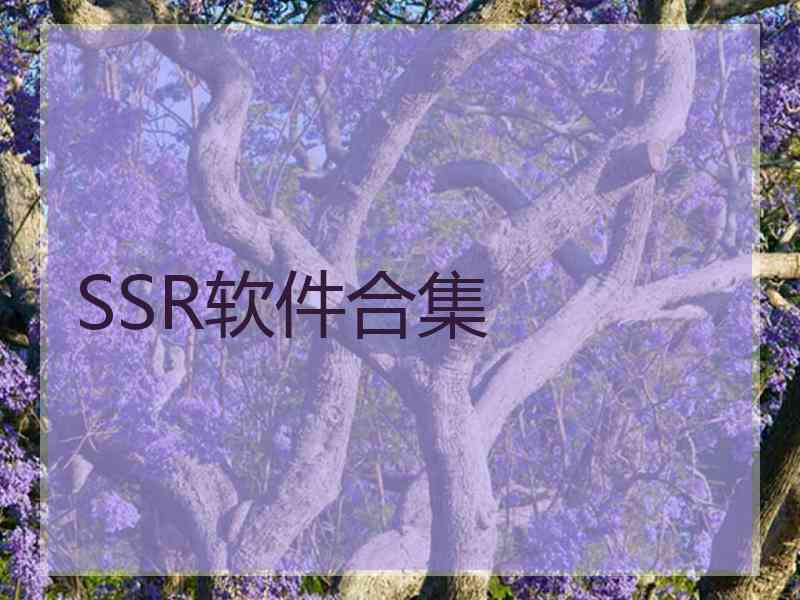 SSR软件合集