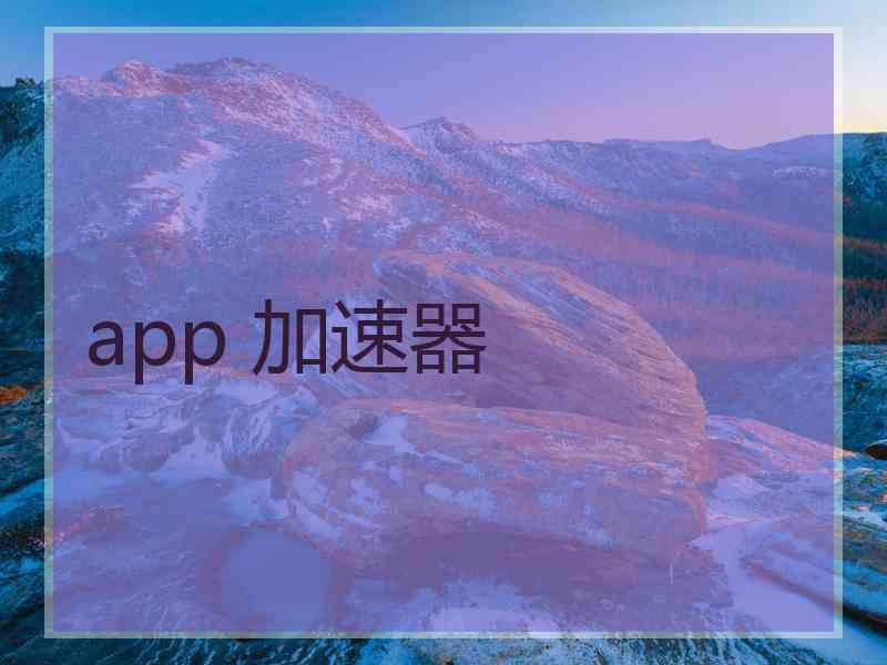 app 加速器