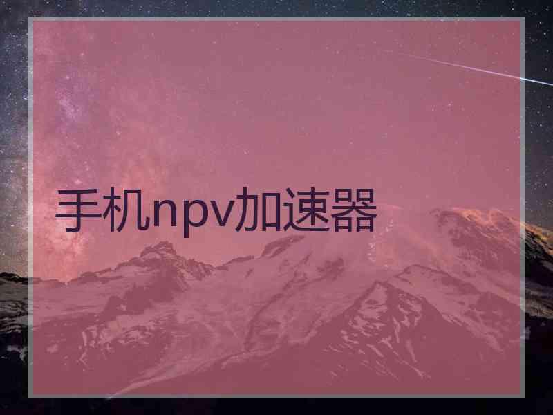 手机npv加速器