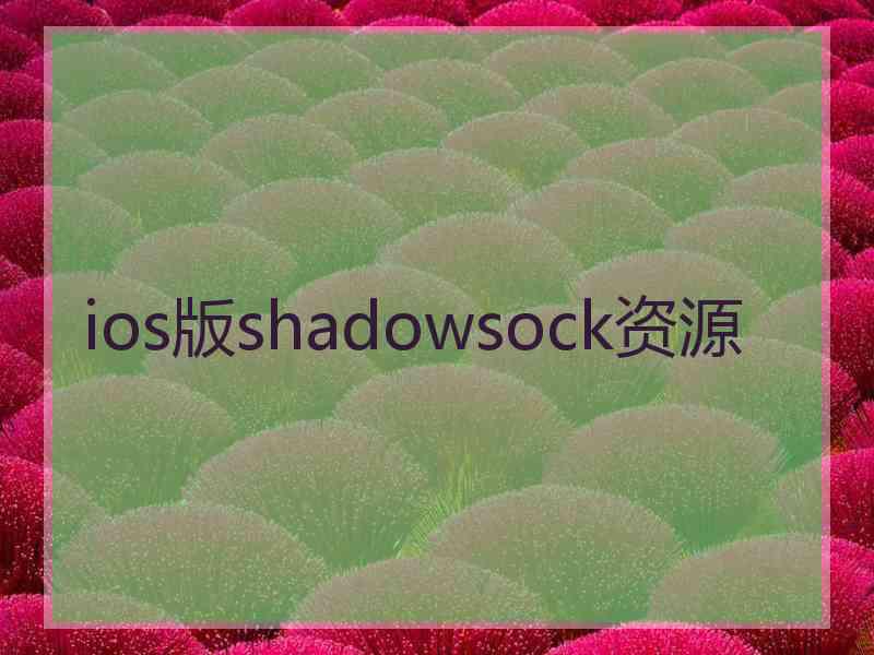 ios版shadowsock资源