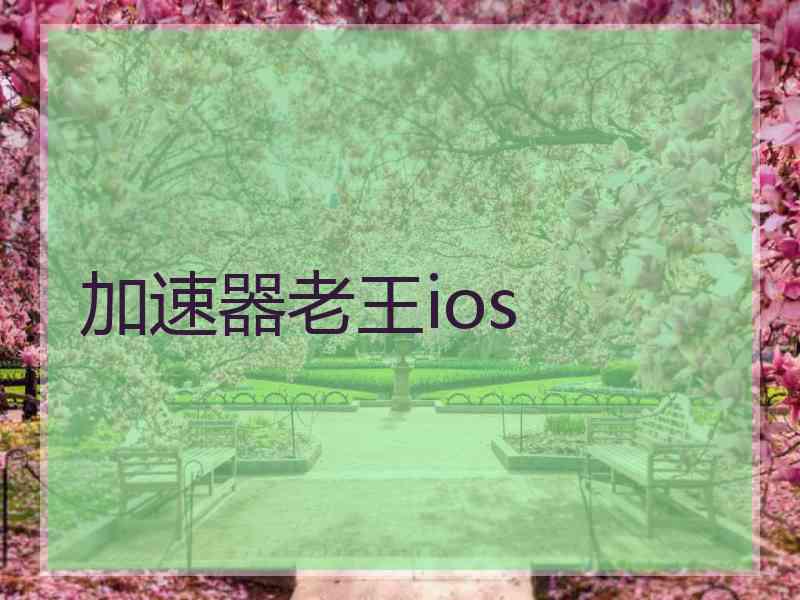 加速器老王ios