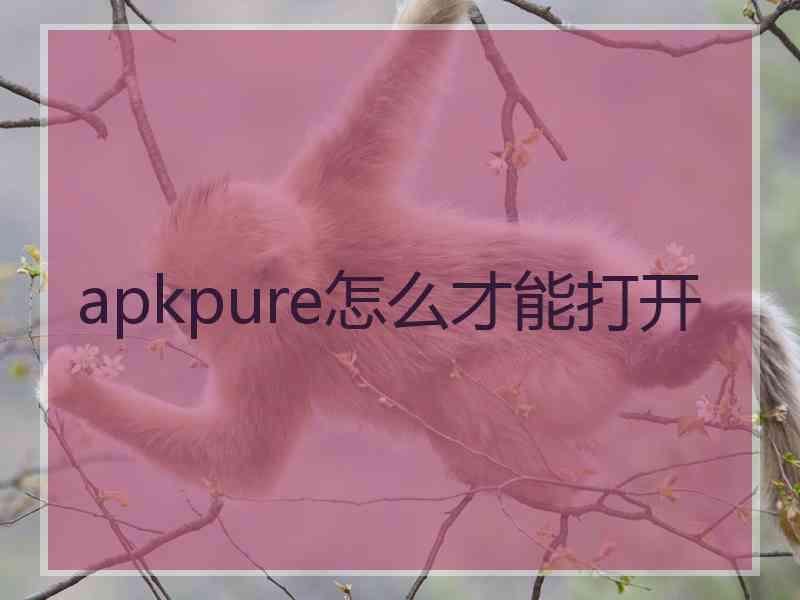 apkpure怎么才能打开