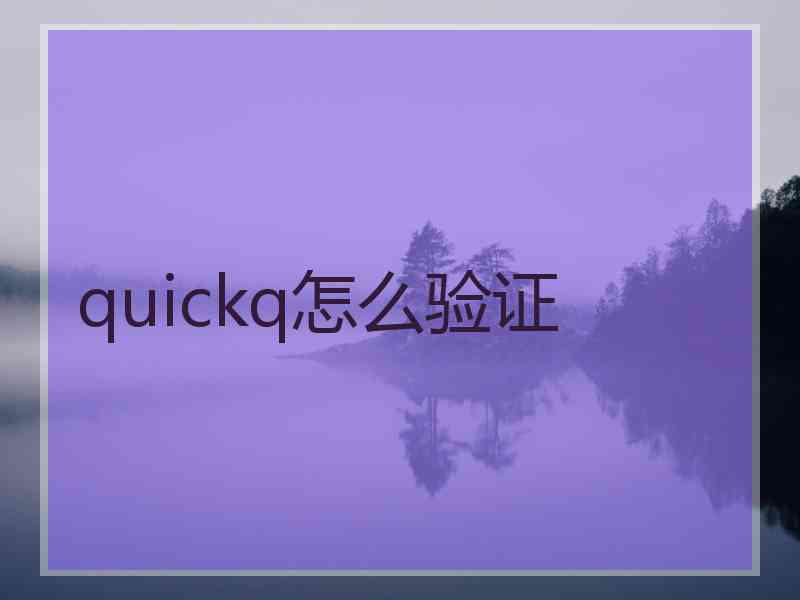 quickq怎么验证