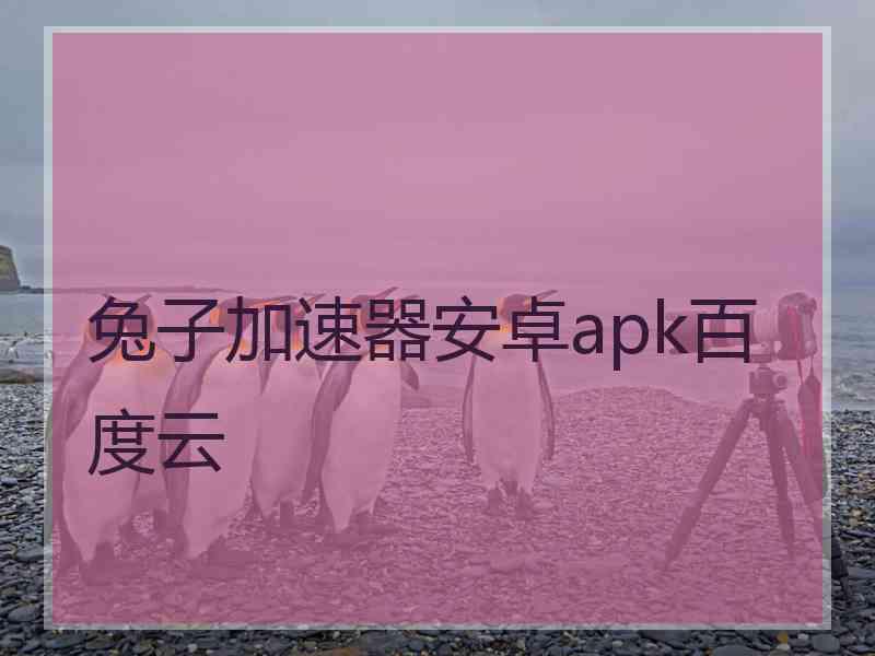 兔子加速器安卓apk百度云