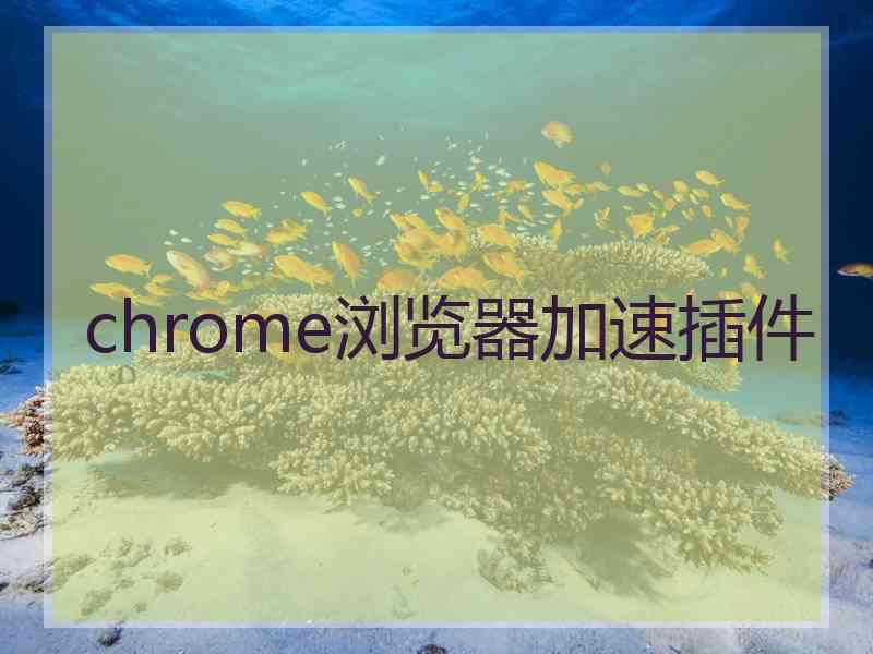 chrome浏览器加速插件