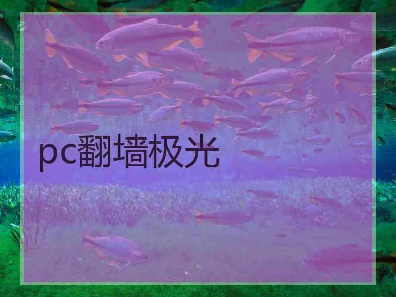 pc翻墙极光