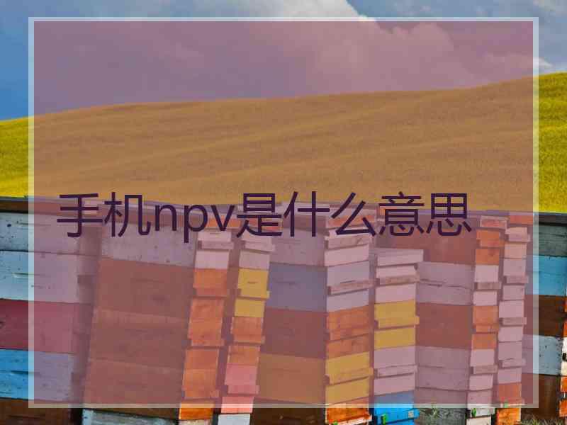 手机npv是什么意思