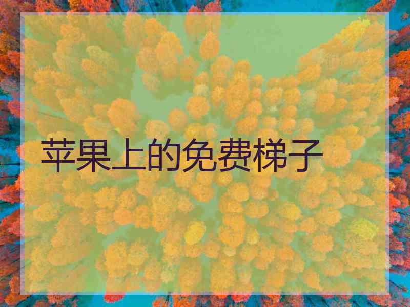 苹果上的免费梯子