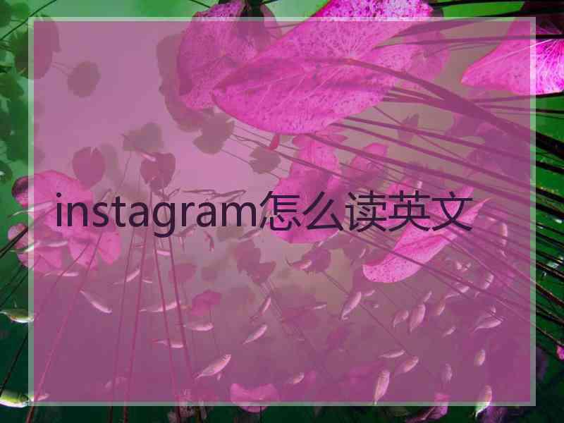 instagram怎么读英文