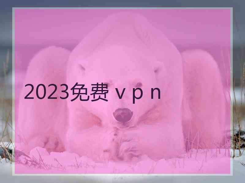 2023免费 v p n