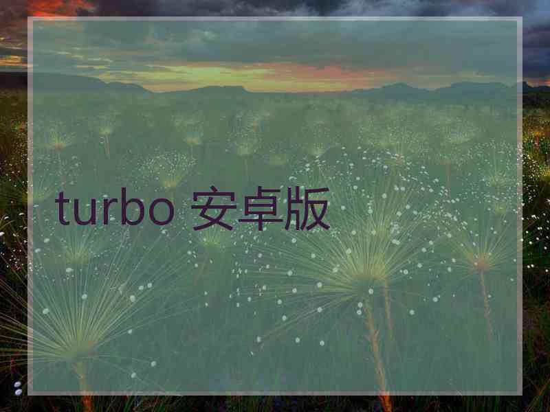 turbo 安卓版