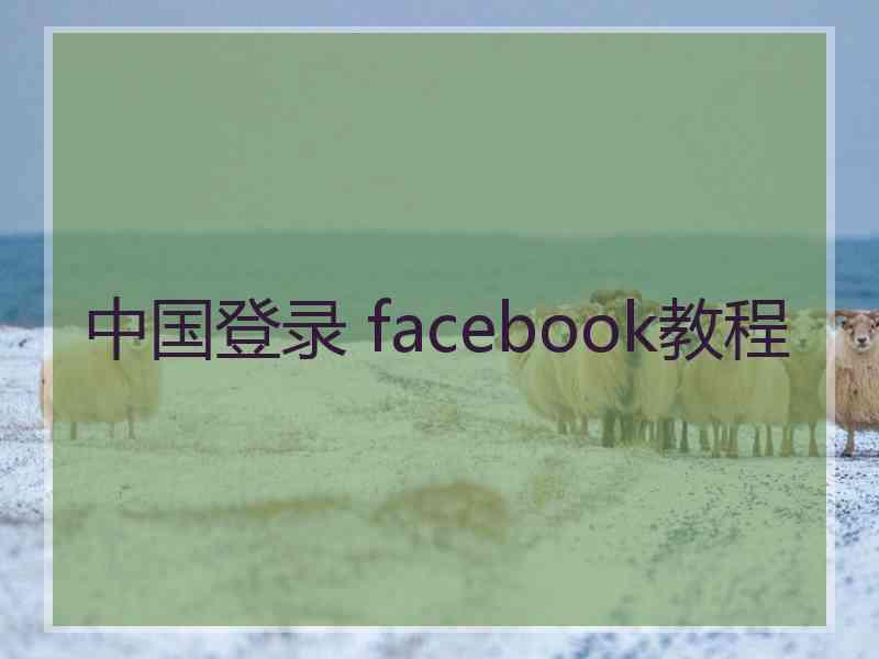 中国登录 facebook教程