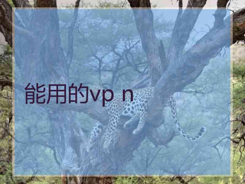 能用的vp n